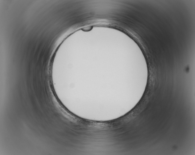 X0000115231475200912111018