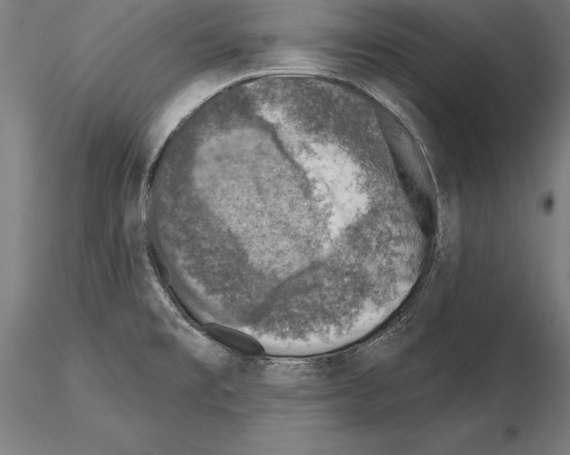 X0000115231477200912111018