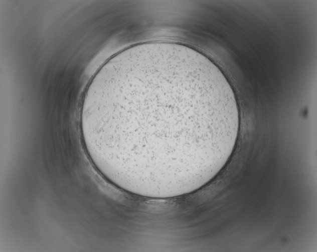 X0000115231478200912111018