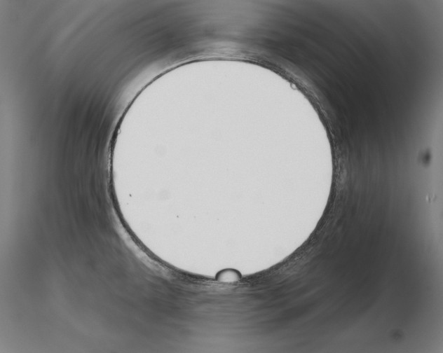 X0000115231479200912111018