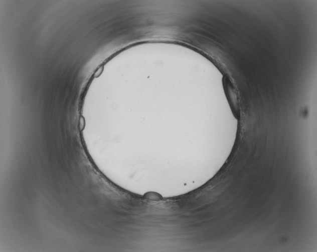 X0000115231480200912111018