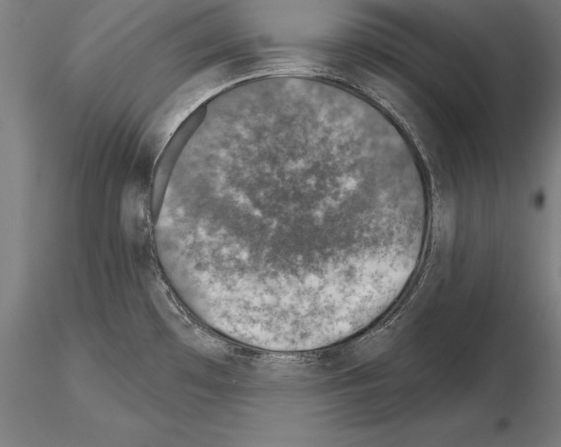 X0000115231481200912111018