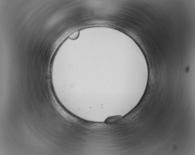 X0000115231482200912111018