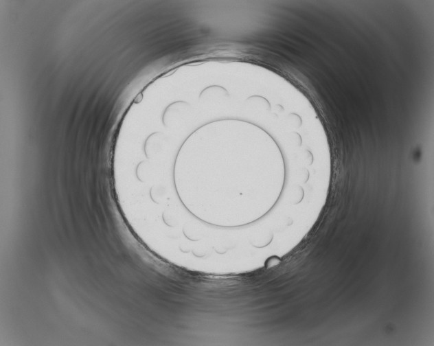 X0000115231483200912111018