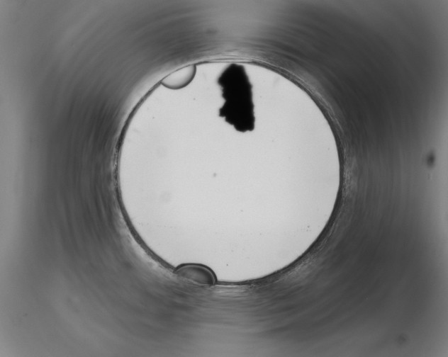 X0000115231484200912111018