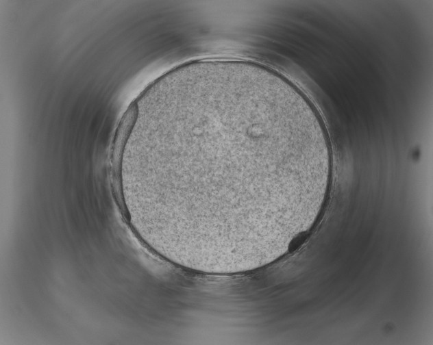 X0000115231485200912111018