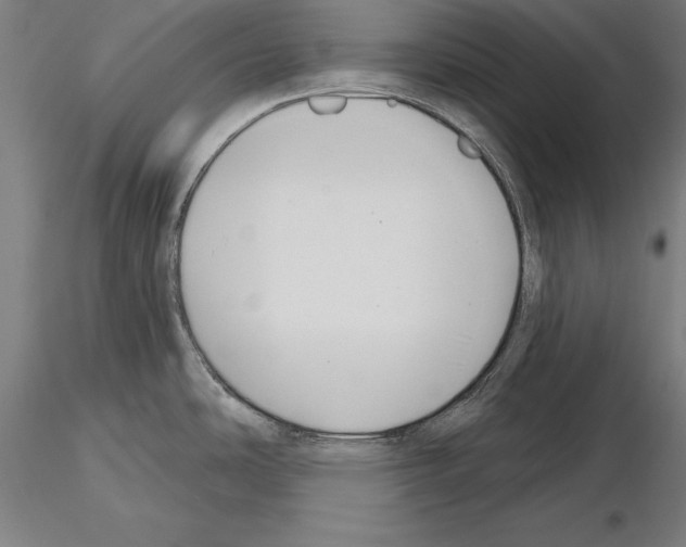 X0000115231486200912111018