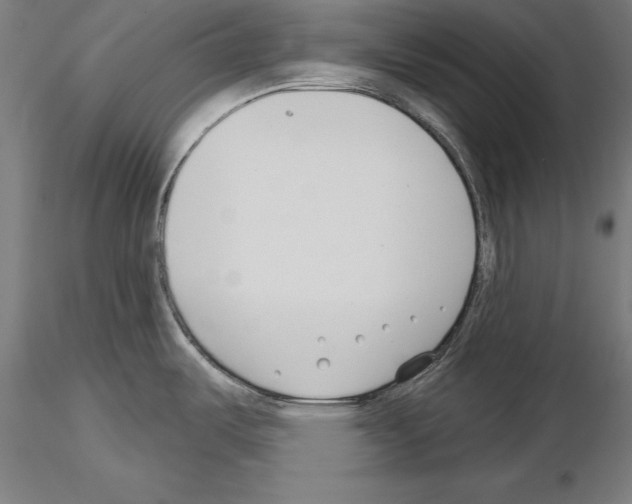 X0000115231487200912111018