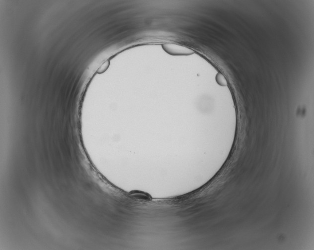 X0000115231488200912111018