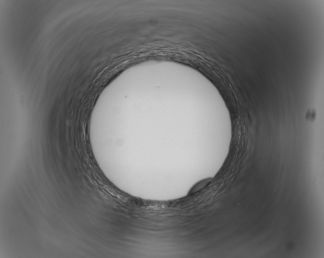 X0000115231489200912111017