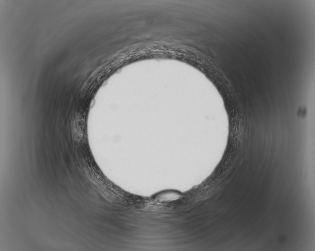 X0000115231490200912111018