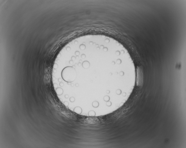 X0000115231491200912111018