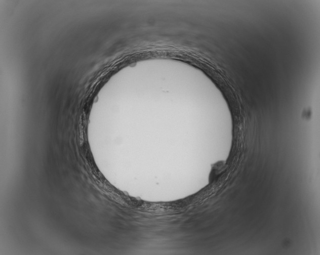 X0000115231493200912111018