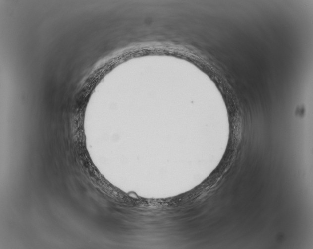 X0000115231494200912111018