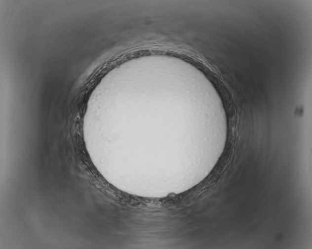 X0000115231495200912111018