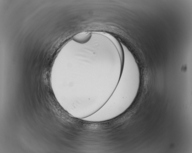 X0000115231497200912111018