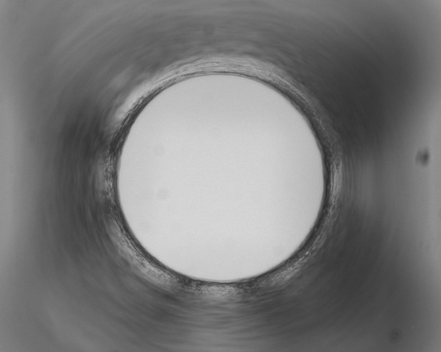 X0000115231498200912111018