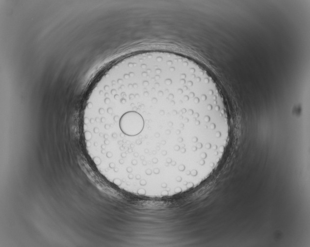 X0000115231499200912111018