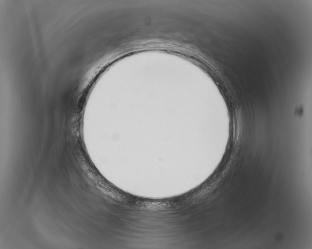 X0000115231501200912111018