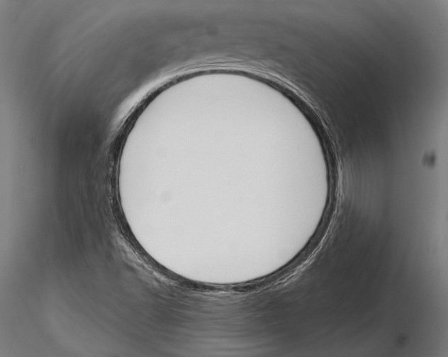 X0000115231502200912111018