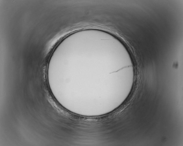 X0000115231503200912111018