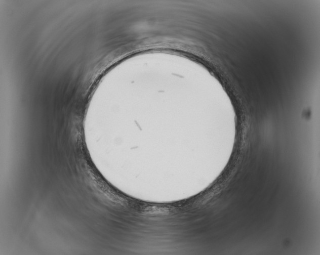 X0000115231505200912111018