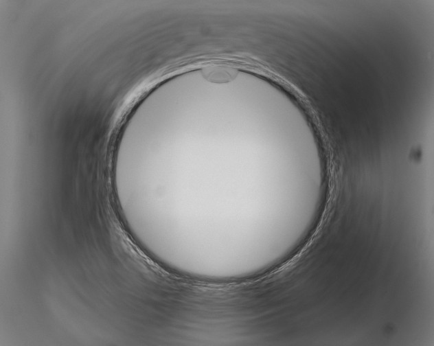 X0000115231506200912111018