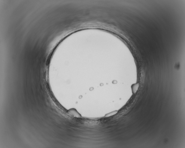 X0000115231509200912111018