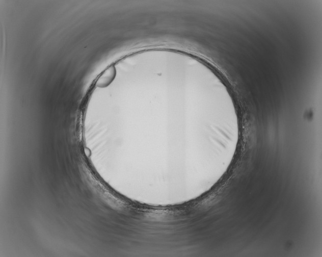 X0000115231510200912111018