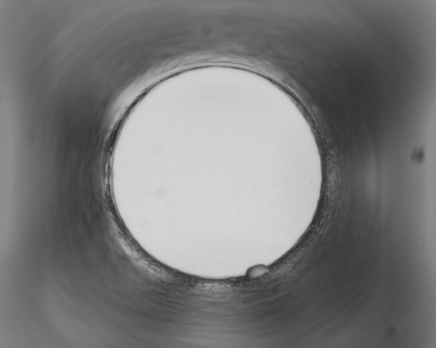 X0000115231511200912111018