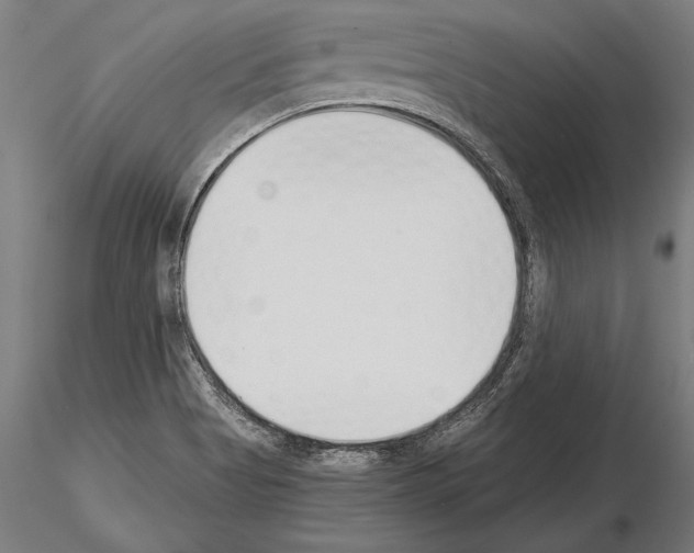 X0000115231513200912111018