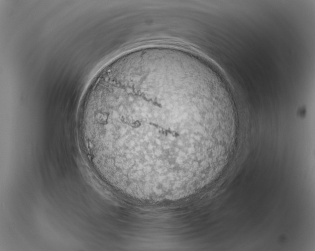 X0000115231514200912111018