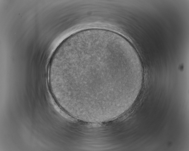 X0000115231515200912111018