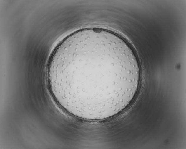 X0000115231517200912111018