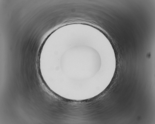 X0000115231518200912111018