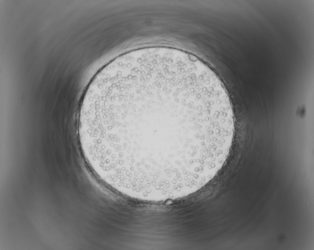 X0000115231519200912111018