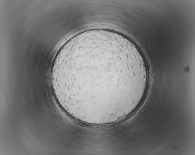 X0000115231521200912111018