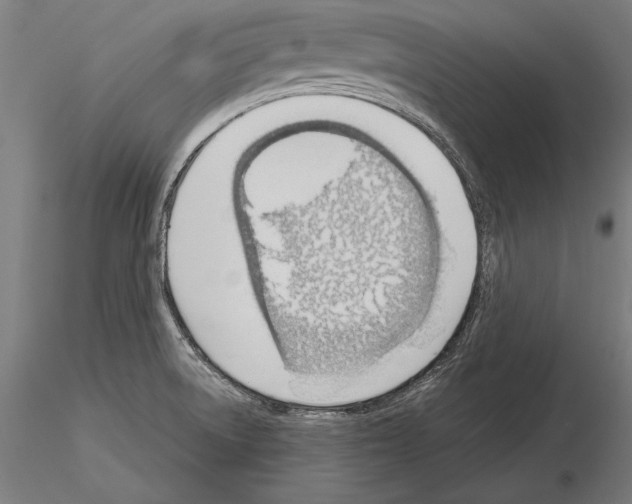 X0000115231522200912111018