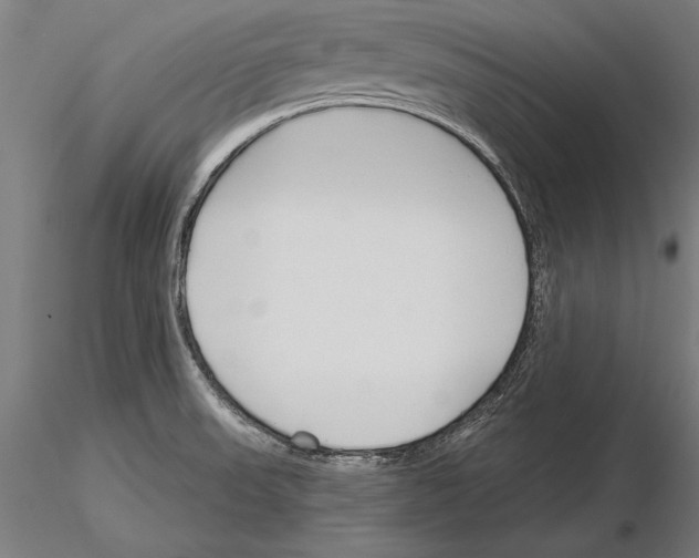 X0000115231523200912111018