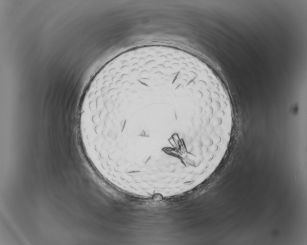 X0000115231525200912111018