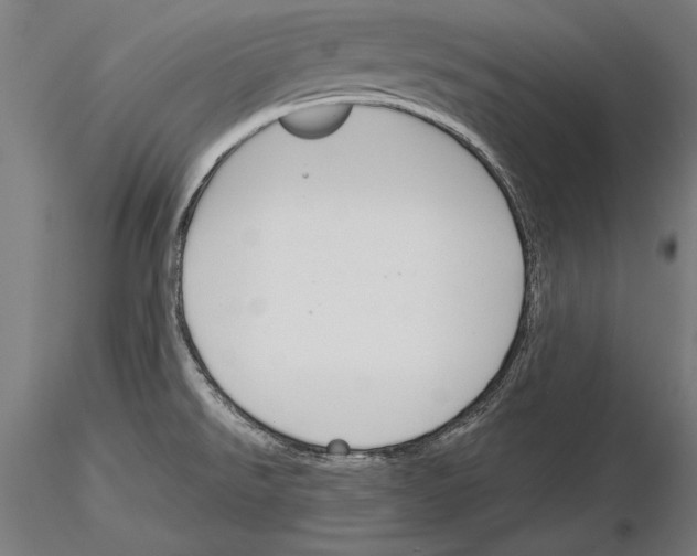 X0000115231526200912111018