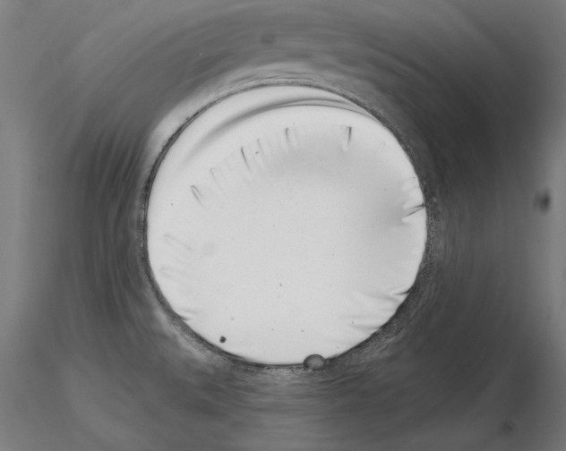 X0000115231527200912111018