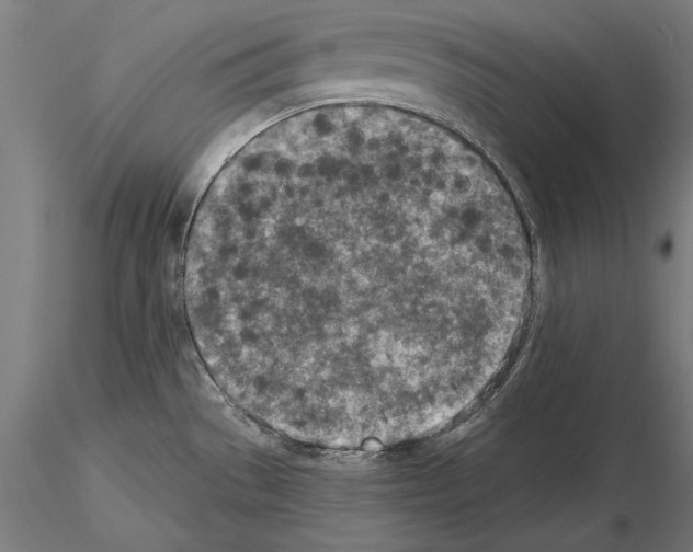 X0000115231529200912111018