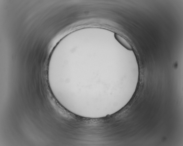 X0000115231530200912111018