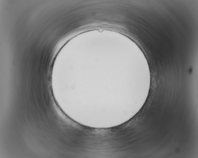 X0000115231531200912111018