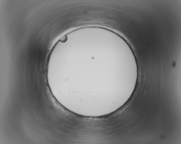 X0000115231534200912111018