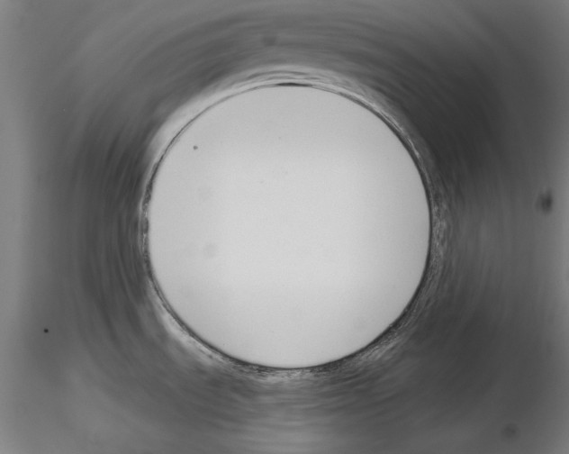 X0000115231535200912111018