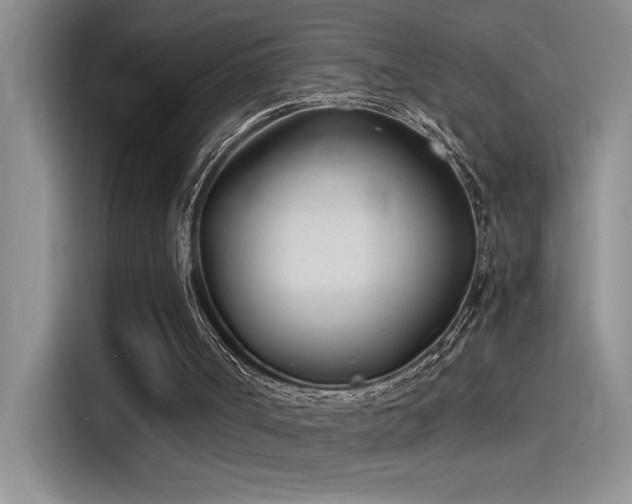 X0000115240002200911061157