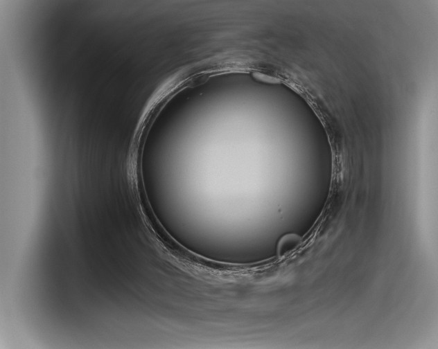 X0000115240004200911061157