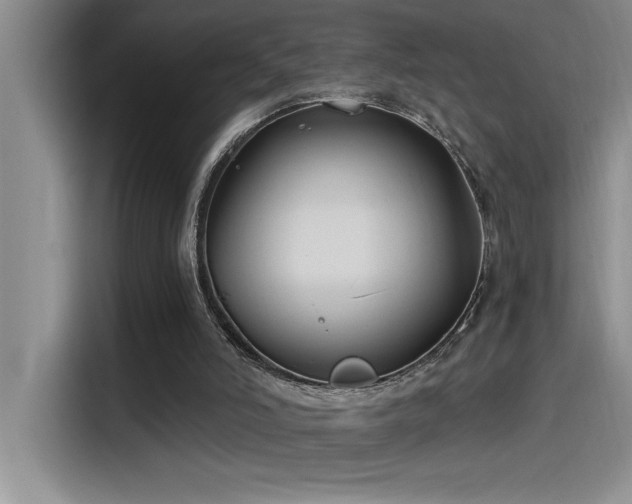 X0000115240006200911061157